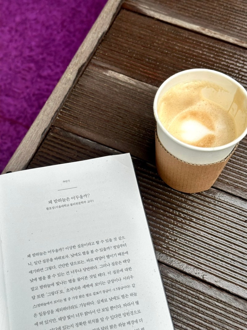 별 너머에 존재하는 것들 책 리뷰 : 네이버 블로그, image size:800x1067