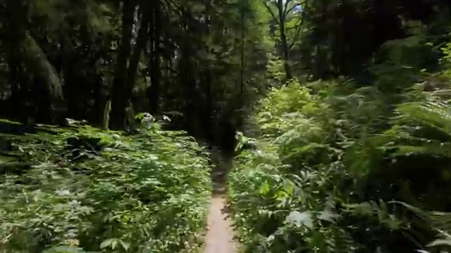  학점은행제 학점인정 , 학은제 일정을 놓치지않고 조정해주는 학점은행제 플래너 가 있습니다.
