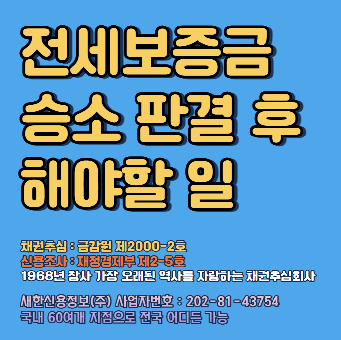  전세보증금반환소송 하여 승소 판결문(지급명령) 으로 가장 먼저 해야하는 절차 채무자 재산조회 ( 부산, 울산, 광주, 대구, 세종, 수원, 인천, 서울, 전국 가능 )