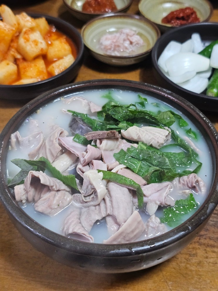  거제도 충남식당 순대국밥 맛집 메뉴 웨이팅 주차