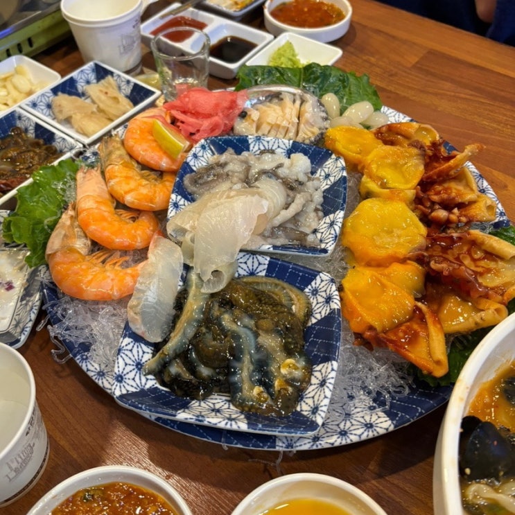  속초오징어어시장, 인덕원역 동편마을 가성비 회 맛집 내돈내산 후기