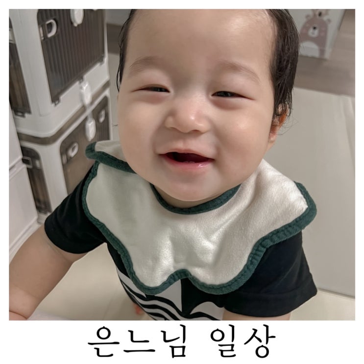  [은느님 일상]9개월 구찌헌 언제 이만큼 자랐지?