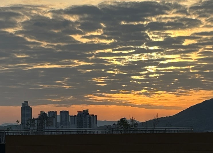  [기록] 23년 기말이야기