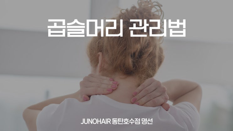 동탄 헤어샵만의 곱슬머리 관리법