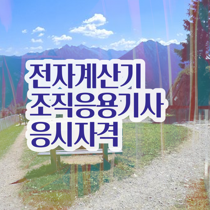  전자계산기조직응용기사 접수 전자계산기조직응용기사 응시조건 학력 경력 조건이 안되는데 인강으로 학점따서 반 년만에 준비했던 비법