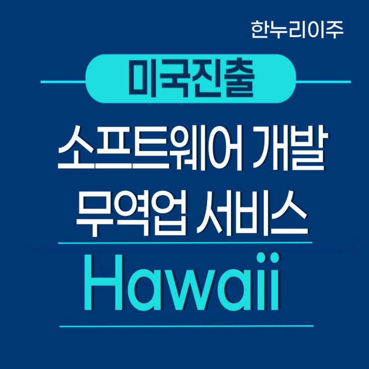  하와이주  소프트웨어 개발 및 무역업 미국법인설립