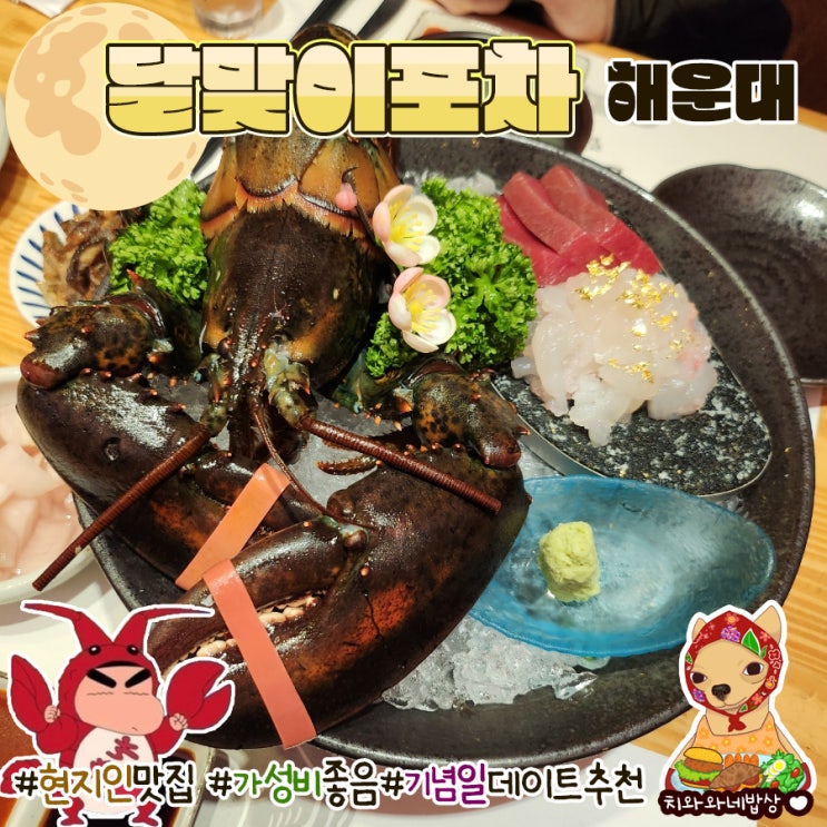  부산여행 랍스터맛집 달맞이포차 해운대 가성비코스요리 내돈내산