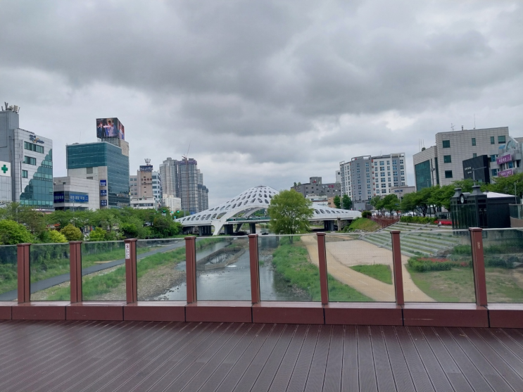  대전여행 -  으능정이거리, 염통꼬치, 오정농수산물도매시장 회