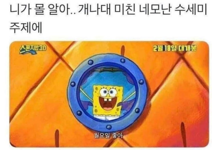  개 나대는 스폰지밥이 되어보자! | 2024 3-4월 일상