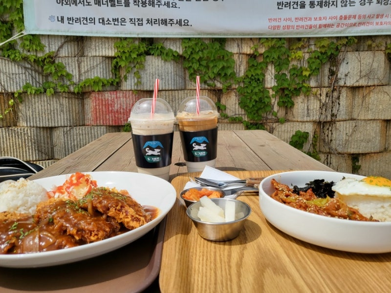 도그캠프 김포점
