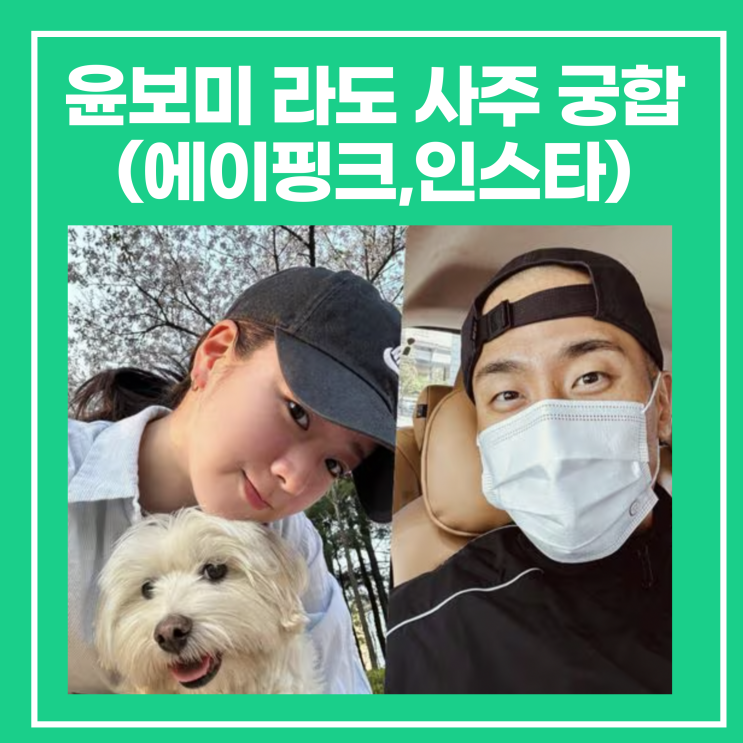 <b>윤보미</b> 라도 사주 궁합(<b>에이핑크</b>,인스타 MBTI ENFP ISFP 연애)