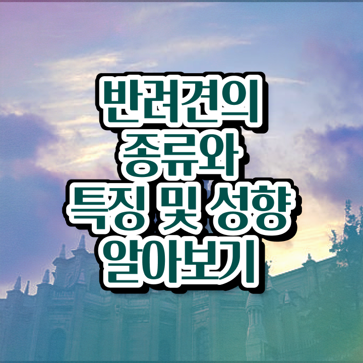  반려동물관리사시험일정 , 반려동물관리사 자격증 일자리, 전망 공유드려요
