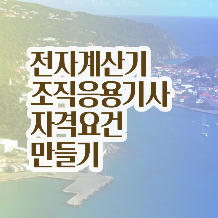  전자계산기조직응용기사 2024 필기 후기 전자계산기조직응용기사 시험응시자격 학력 경력 조건이 안되는데 일과 병행하며 15주만에 달성하는 노하우
