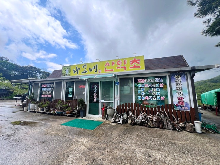  칠곡 삼계탕 맛집 나그네산약초