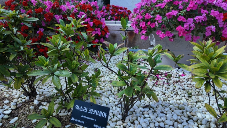  말센스^^ #오디오북 #청주 #충북농업기술원 #책낭독