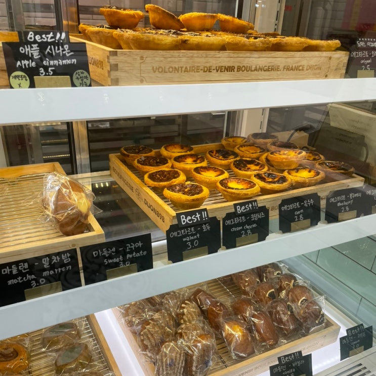  속초중앙시장맛집 도리스 파티세리 포장후기 에그타르트