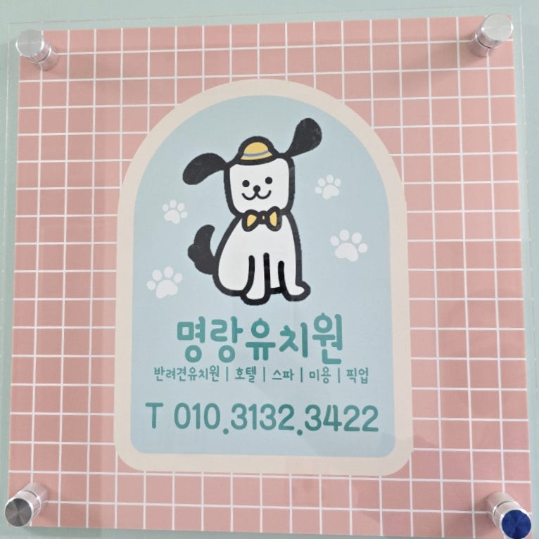 사진 3