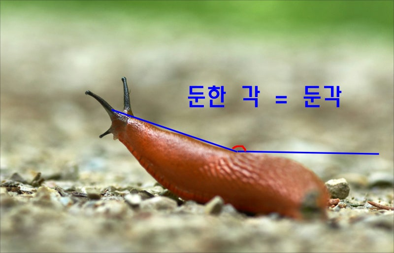 예각 둔각 직각을 헷갈려 한다면 꼭 이렇게 알려주세요 : 네이버 블로그
