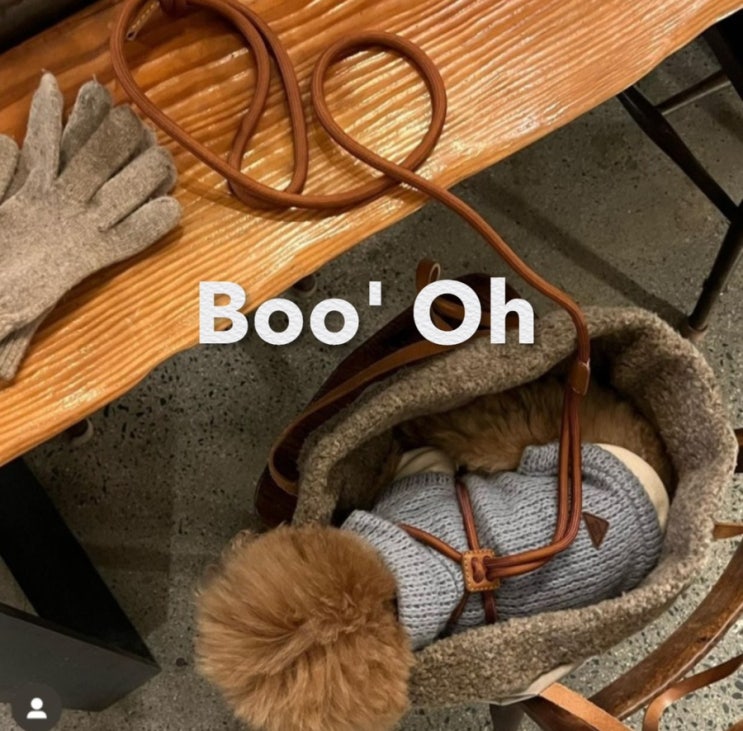  [강아지 하네스] 부오 Boo' Oh