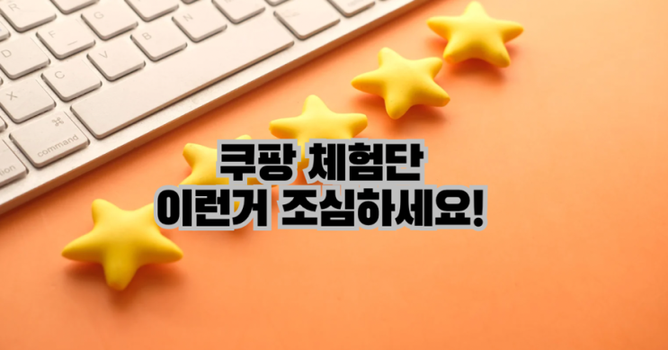  쿠팡 체험단 사기!잘못하면 큰일 납니다.사칭 주의