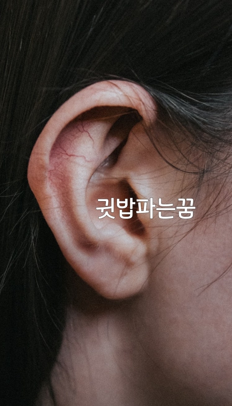 귀밥을 많이 파는꿈해몽 서울점집 자미원보살