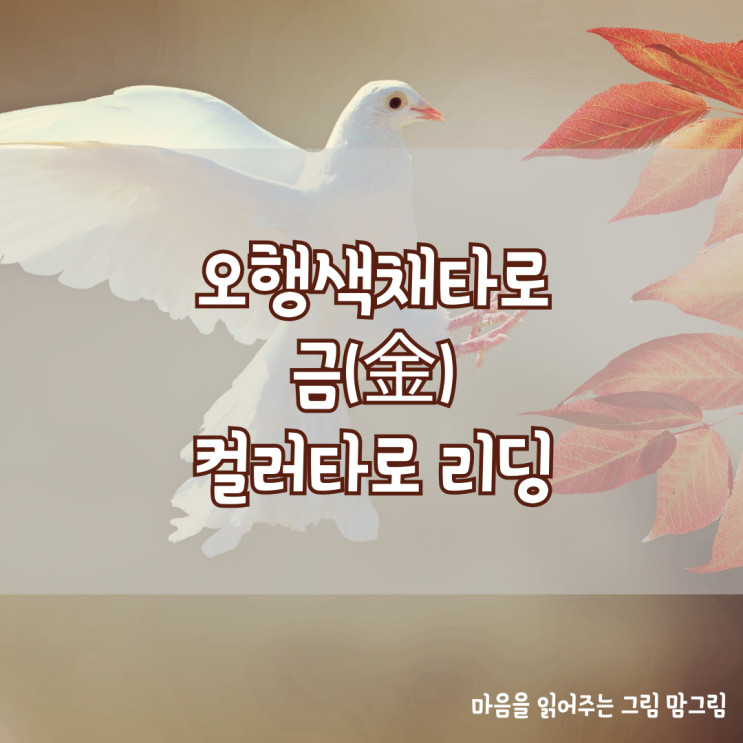  오행 색채(컬러)타로 금(金)컬러타로리딩 배우기
