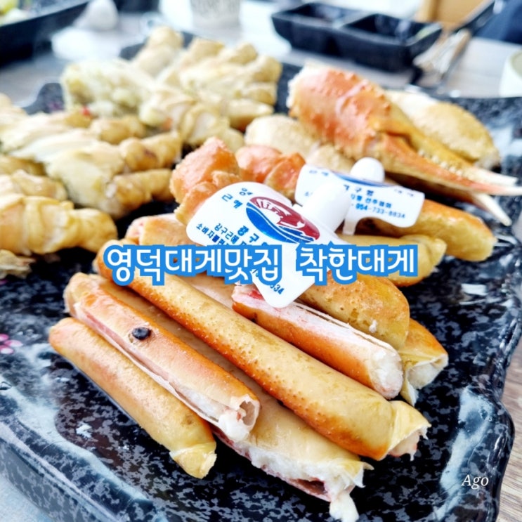  영덕대게맛집 착한대게 feat 영덕 현지인 맛집 추천
