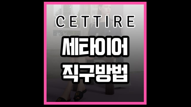 세트이어 직접구매방법, 추천상품 정리 2