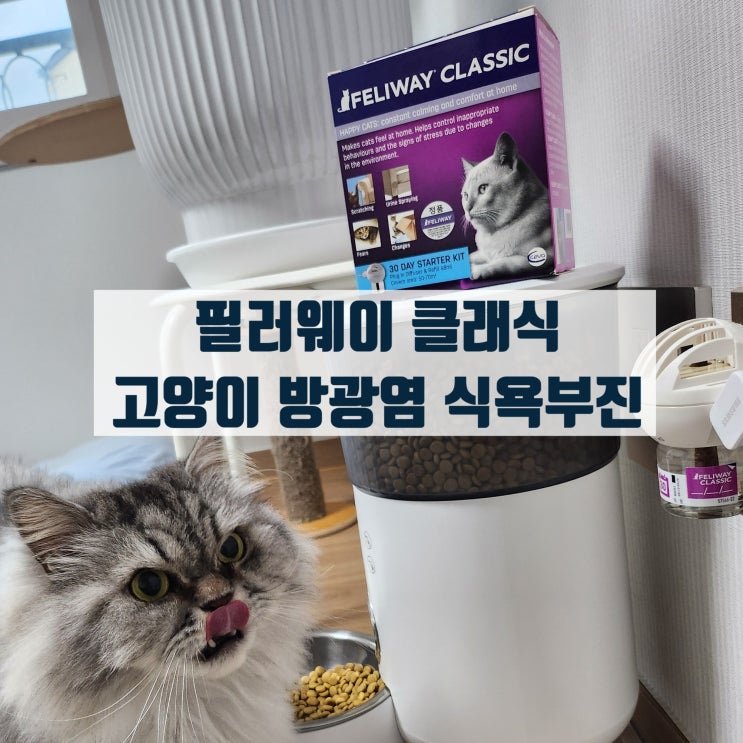  고양이 스트레스 진정 관리 펠리웨이 클래식 / 이유없는 식욕감소