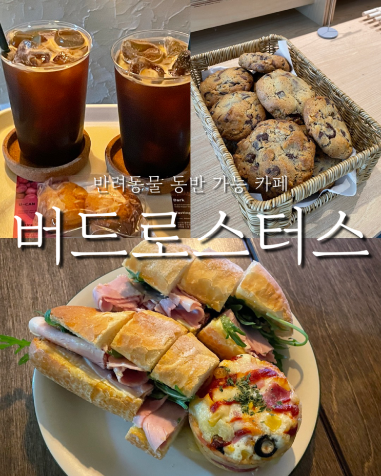 울산 시청근처 반려동물 동반 가능 필터커피 디저트 맛집 버드로스터스