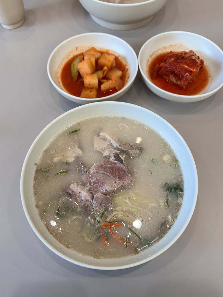  제주 서귀포시 중문 고기국수 맛집 | 국수바다