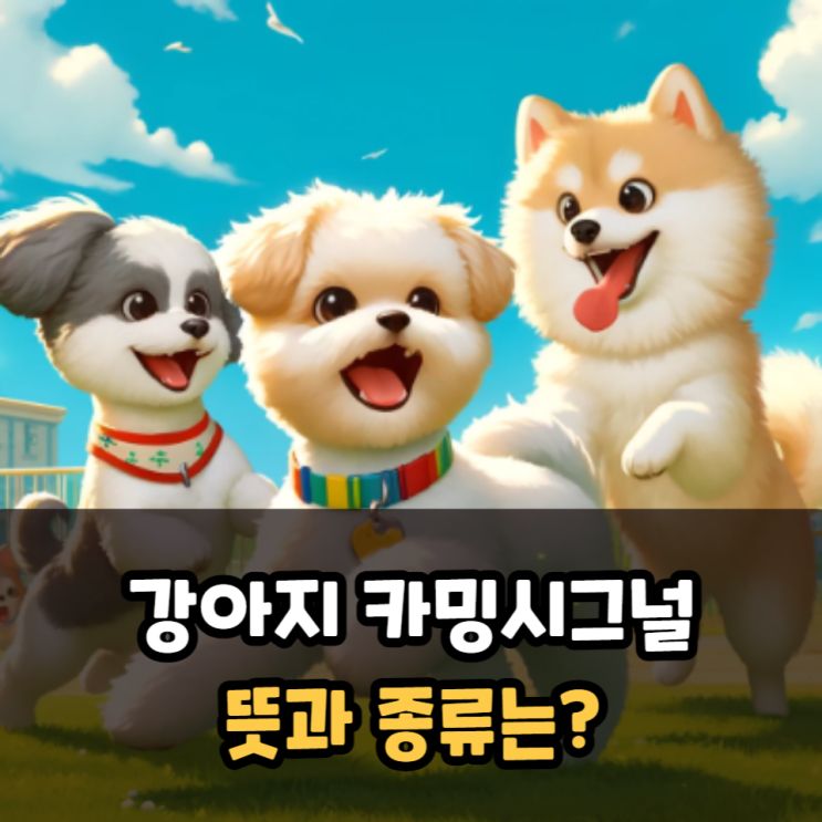  강아지 카밍시그널 뜻과 종류는?