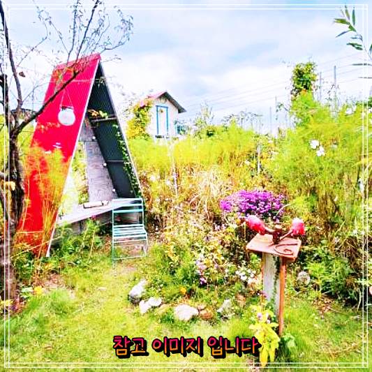  생방송오늘저녁에서 소개한 옥천 대전근교 카페대장간 맛집 '수제바닐라빈라테 파스타 ''화덕피자' 탐방코너 후기
