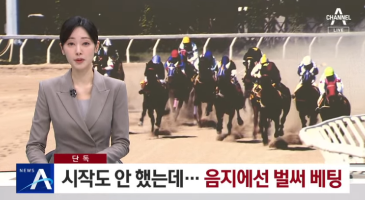 온라인 <b>경마</b> 배팅 <b>예상지</b> 무료 공유