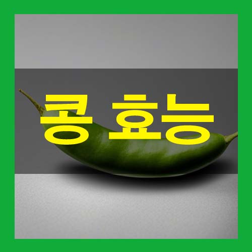  콩 효능 5가지와 부작용, 콩 요리