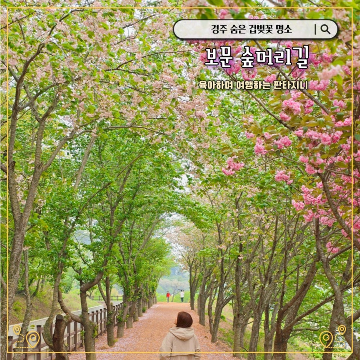  경주 숲머리길 산책로 - 겹벚꽃 숨은 명소(찾아가는 길, 주차)