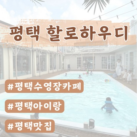  [평택] 할로하우디 대관룸후기 (수영장 이용후기)