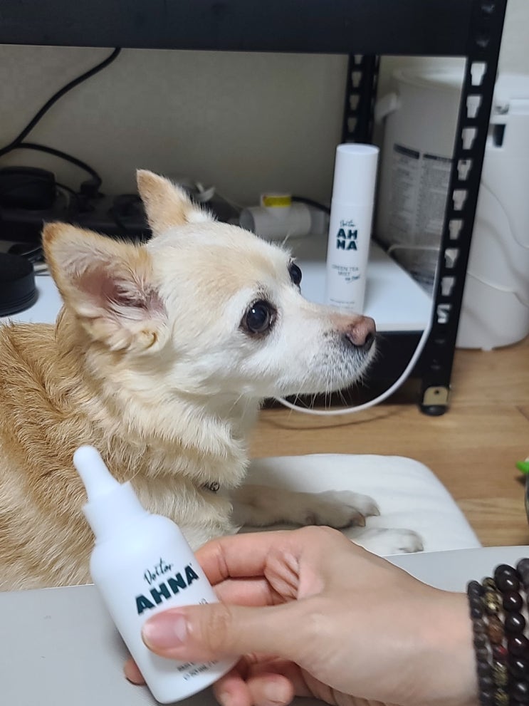  [못난이 3남매] 닥터아나 강아지 바르는 오메가3 - 강아지탈모 진화 작전!