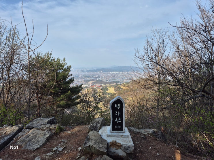 화창한 날씨 진달래꽃 구경 경산시 백자산 산행 화창한 날씨 진달래꽃 구경 경산시 백자산 산행