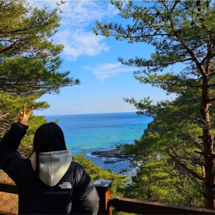  정동심곡바다부채길 썬크루즈 코스와 볼거리 후기