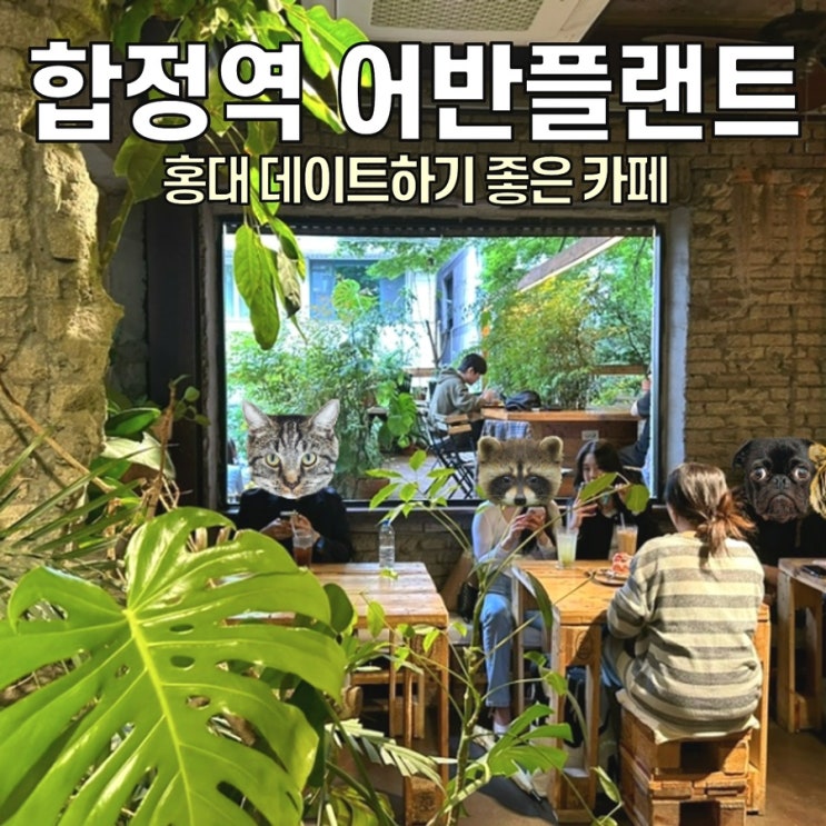  [홍대 카페] 어반플랜트 합정 / 케이크 찐맛집인 식물카페