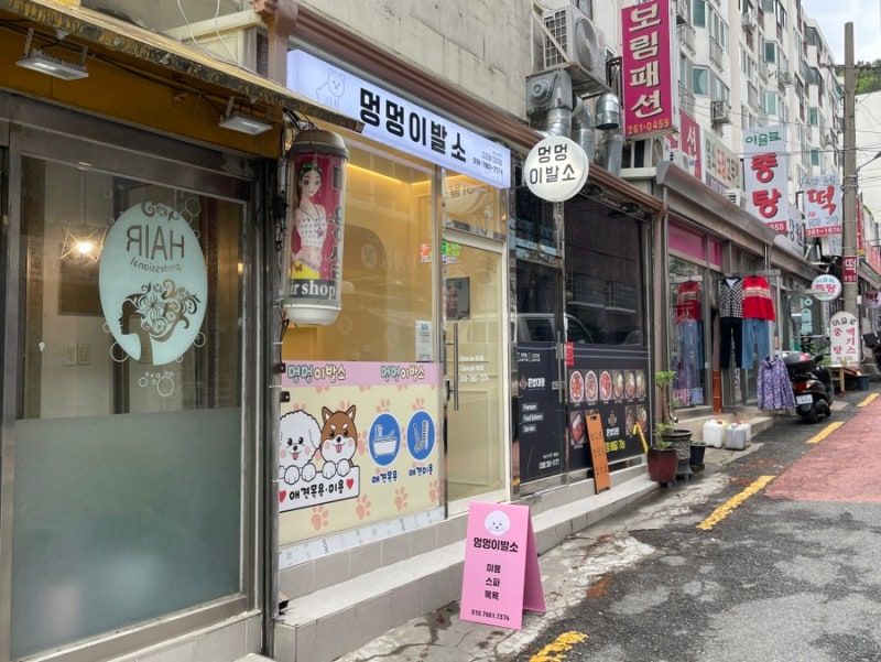 사진 2