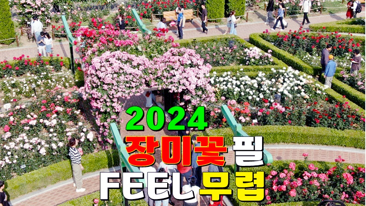 대구 5월 꽃축제 이곡장미공원 2024 장미꽃 필(feel)무렵 축제 기본정보 가수 일정 주차장 대구 5월 꽃축제 이곡장미공원 2024 장미꽃 필(feel)무렵 축제 기본정보 가수 일정 주차장