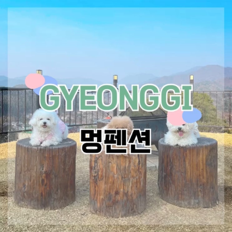  개별 잔디 운동장이 있는 애견펜션 "멍펜션"