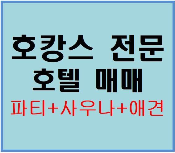  [가평호텔매매]호캉스 파티,수영장,사우나,애견 등 여러가지 컨텐츠를 제공하는 수익성 좋은 호텔, 숙박업소 투자,숙박업소 창업
