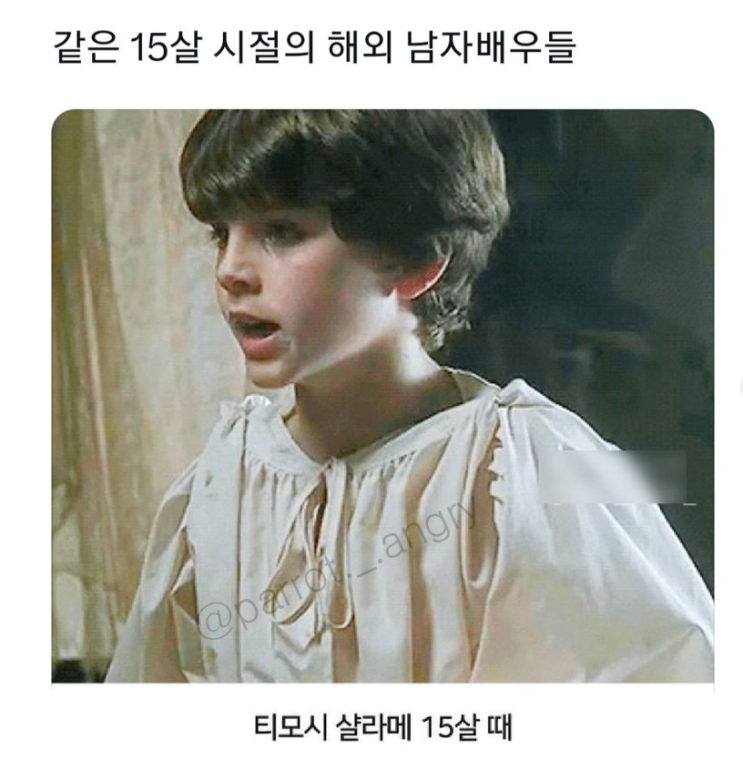  15살 시절의 해외 남자 배우들