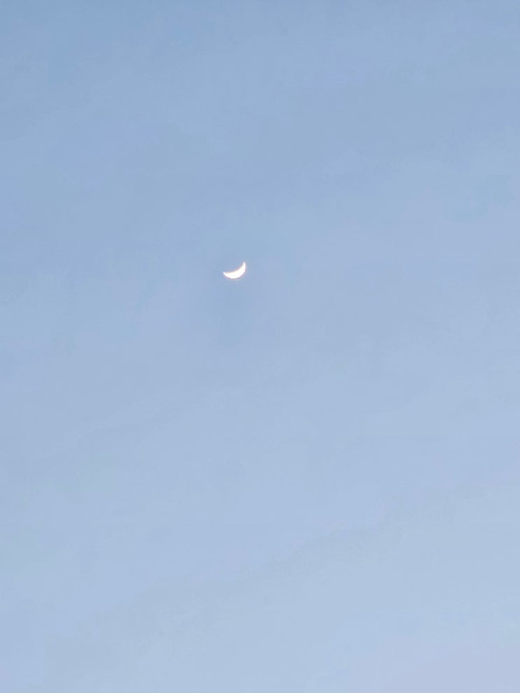  제목 . 233