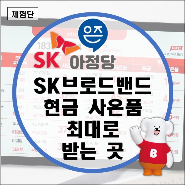 sk브로드밴드 인터넷 btv 결합할인 셋톱박스 설치 현금사은품(skt 고객센터 전화번호 주말 이사 이전)