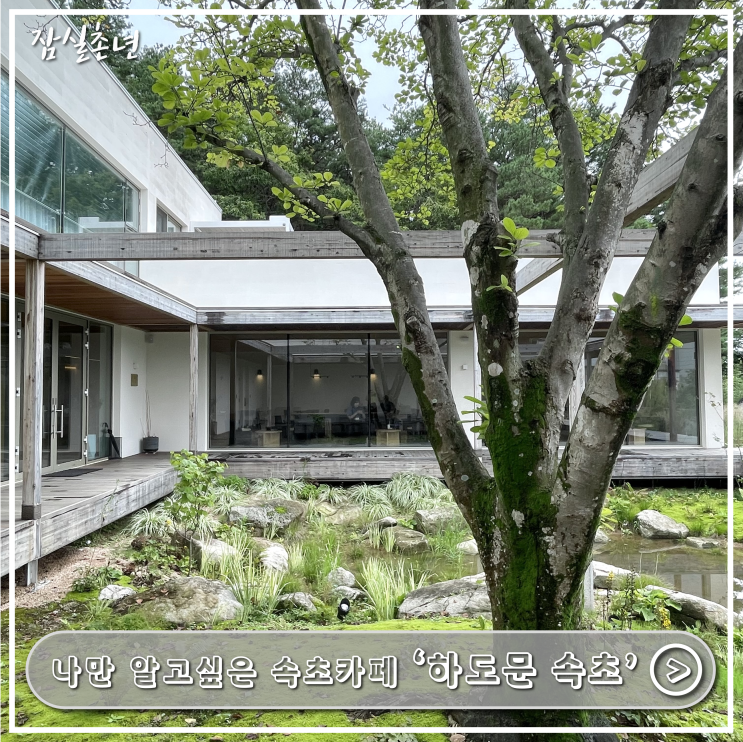  속초카페ㅣ나만 알고 싶은 감성카페 '하도문속초' 조용한 속초카페추천