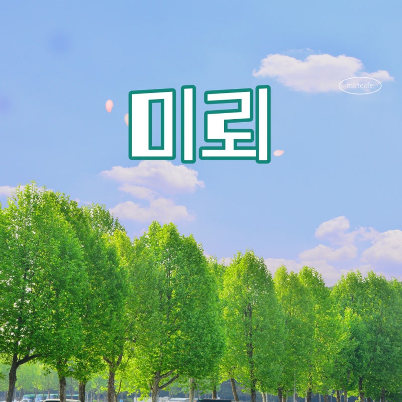 미뢰가 작동 원리 구조와 기능